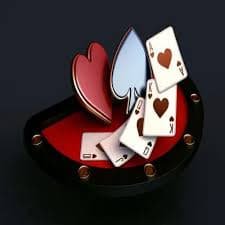 566bet