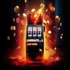 566bet